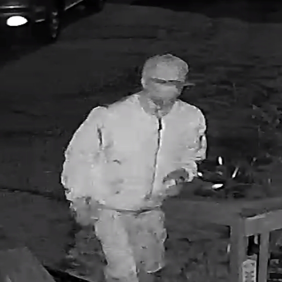 Meet your Posher, Cali - Picture 2 of 4